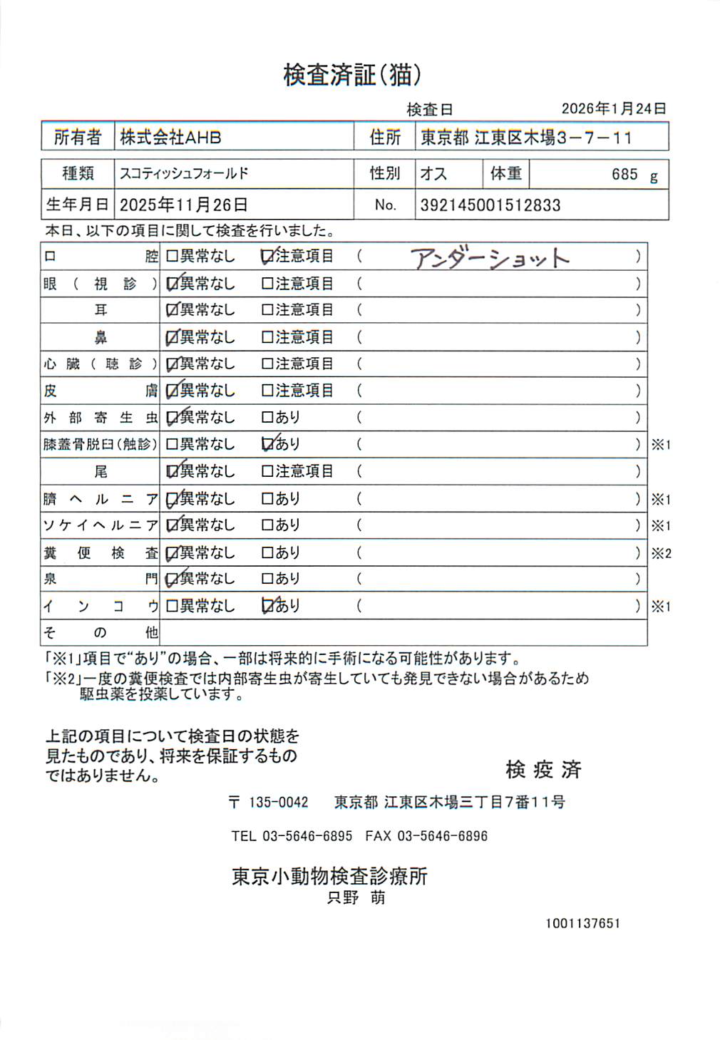 スコティッシュフォールド