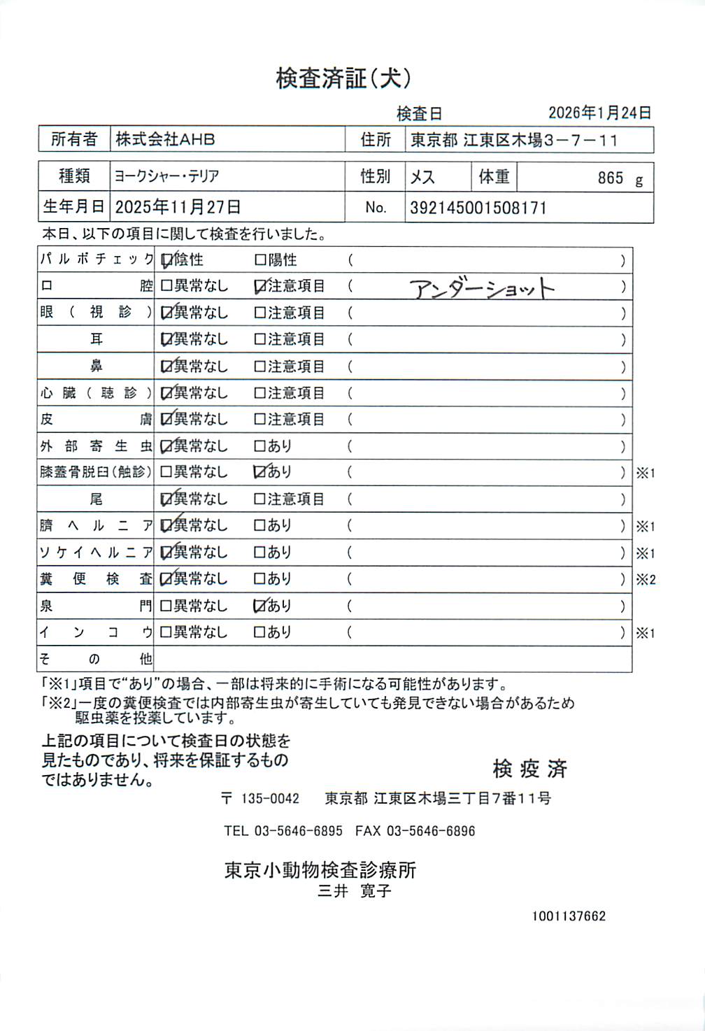 ヨークシャー・テリア