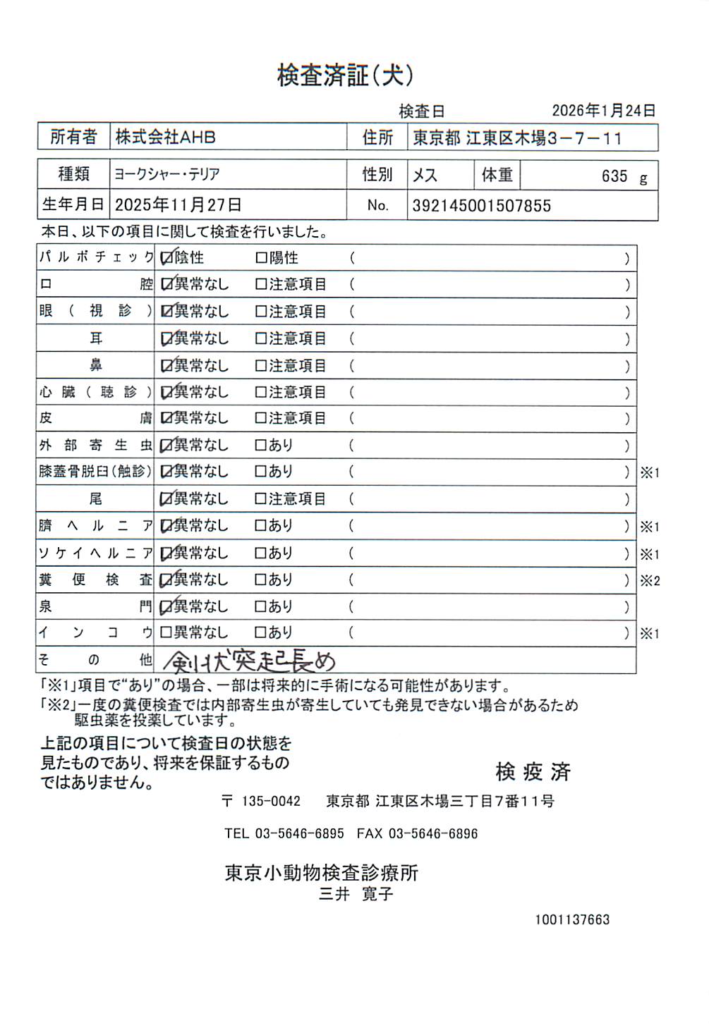 ヨークシャー・テリア