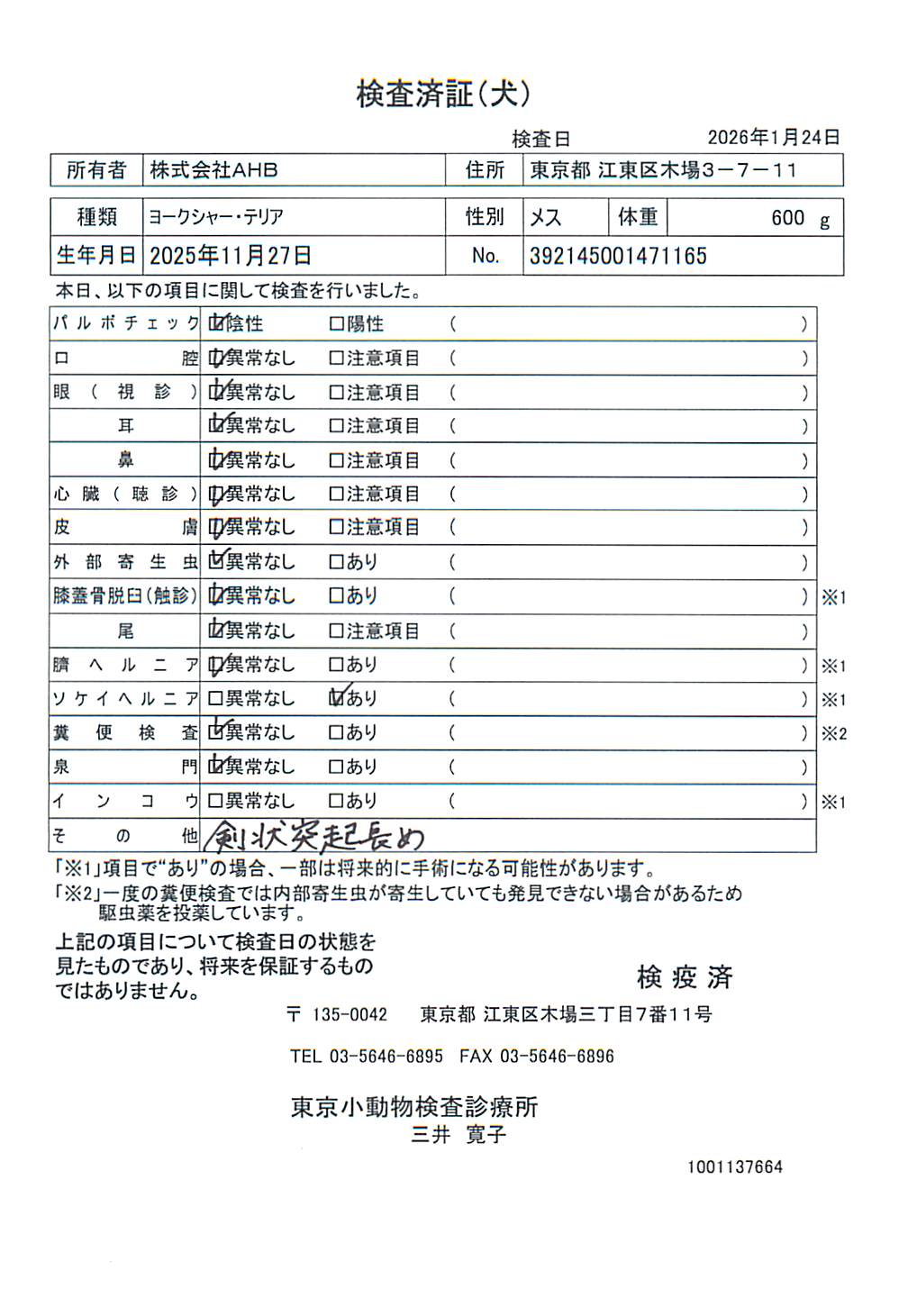 ヨークシャー・テリア