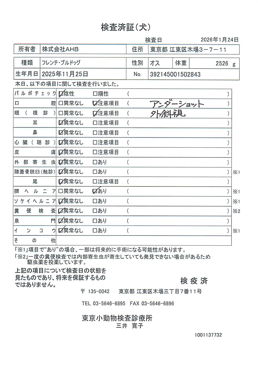 フレンチ・ブルドッグ