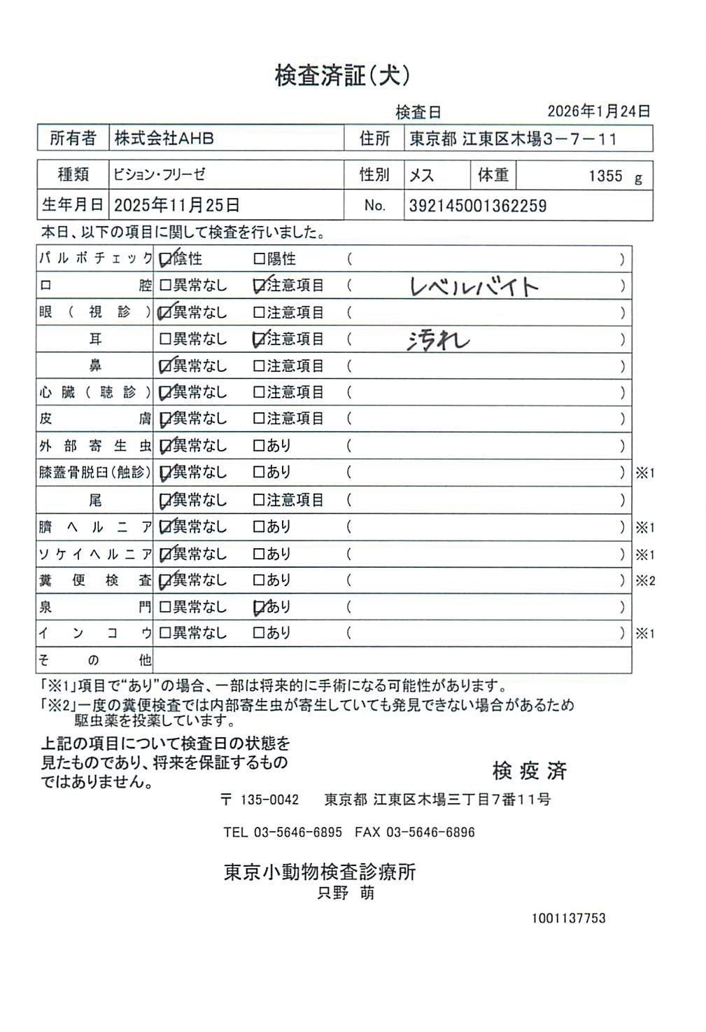 ビション・フリーゼ