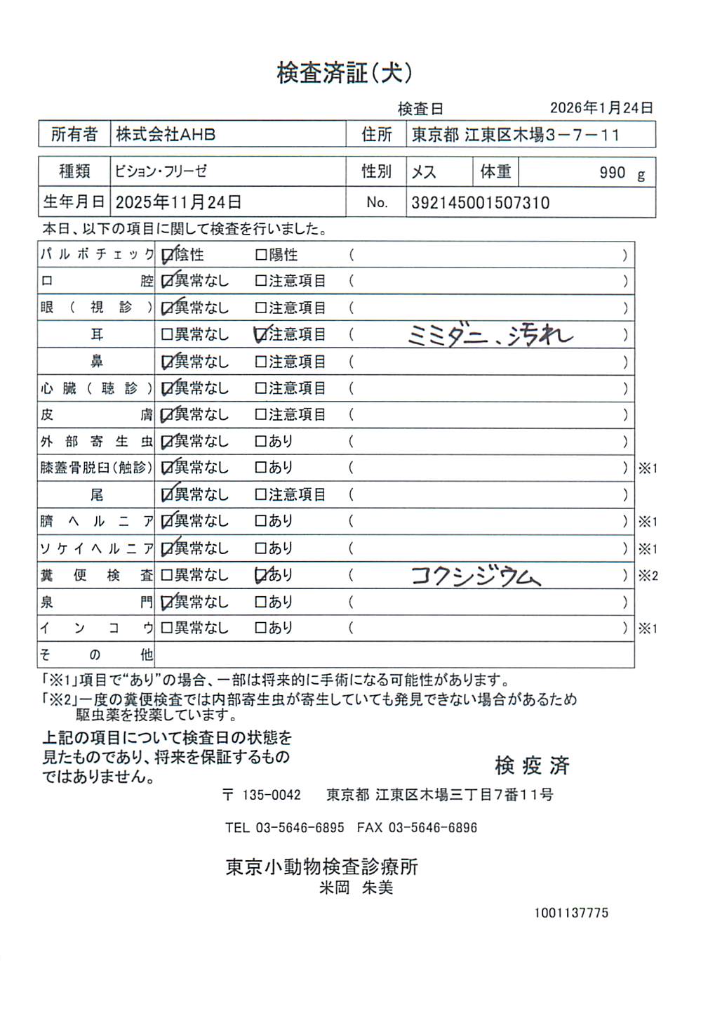 ビション・フリーゼ