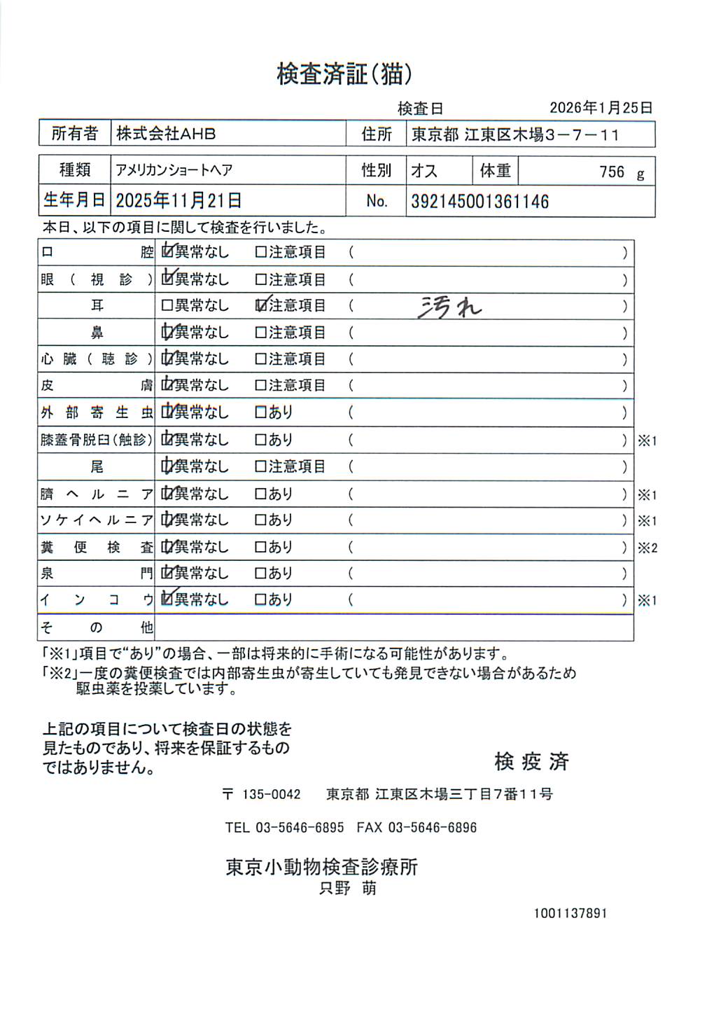 アメリカンショートヘア