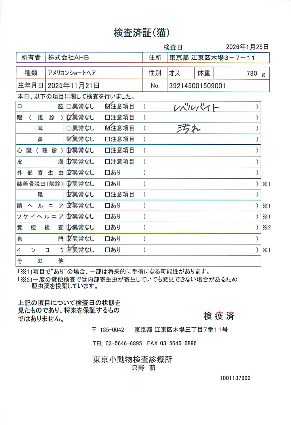 アメリカンショートヘア