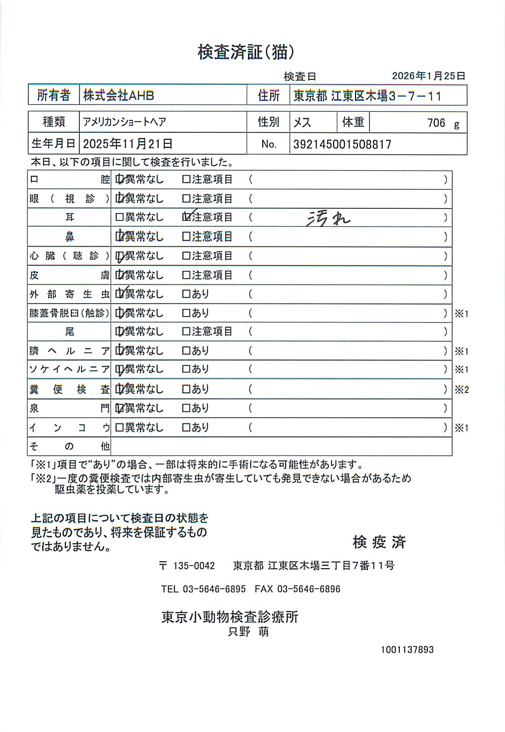 アメリカンショートヘア