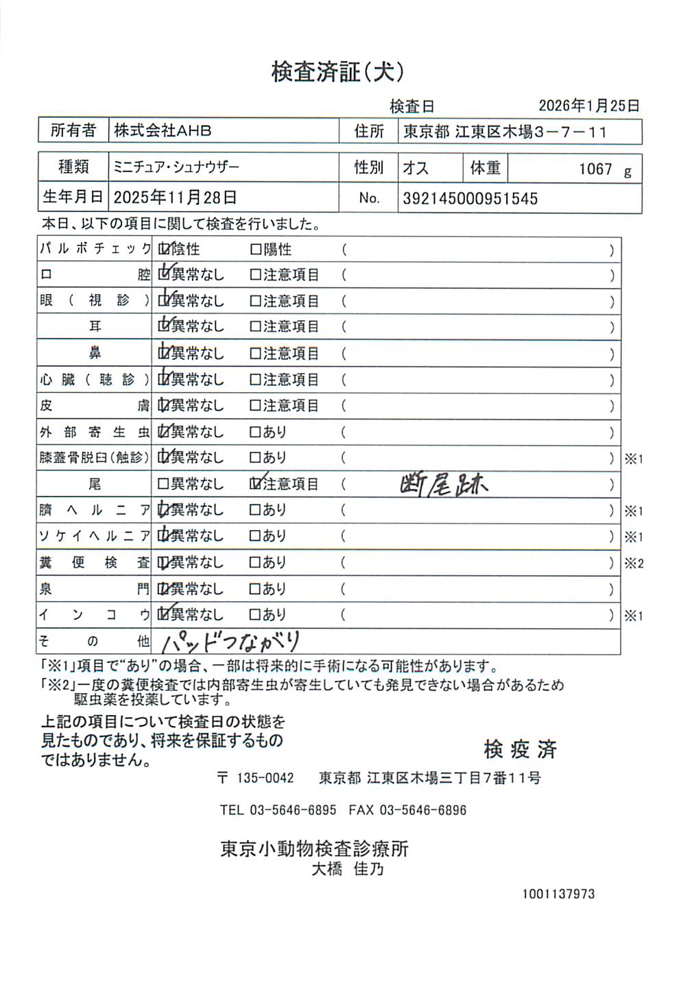 ミニチュア・シュナウザー
