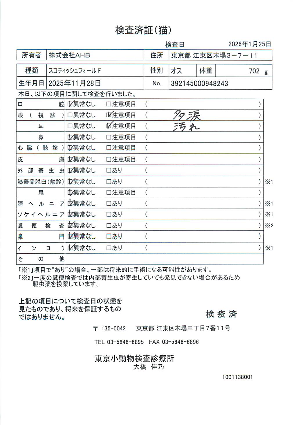 スコティッシュフォールド
