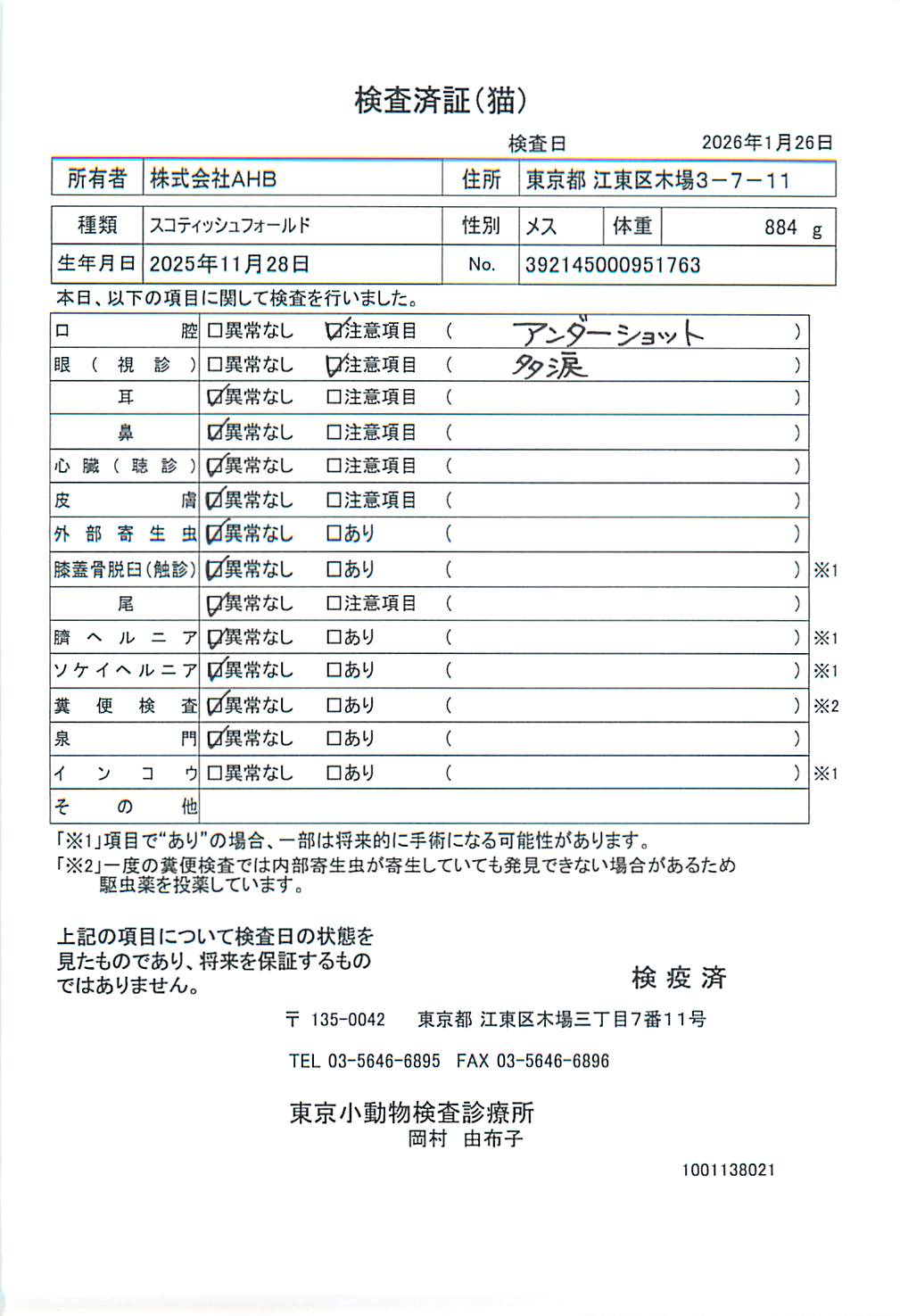 スコティッシュフォールド