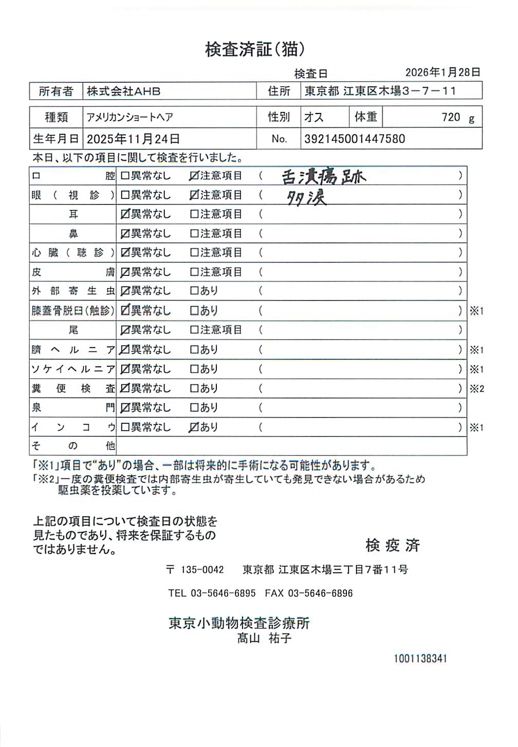 アメリカンショートヘア
