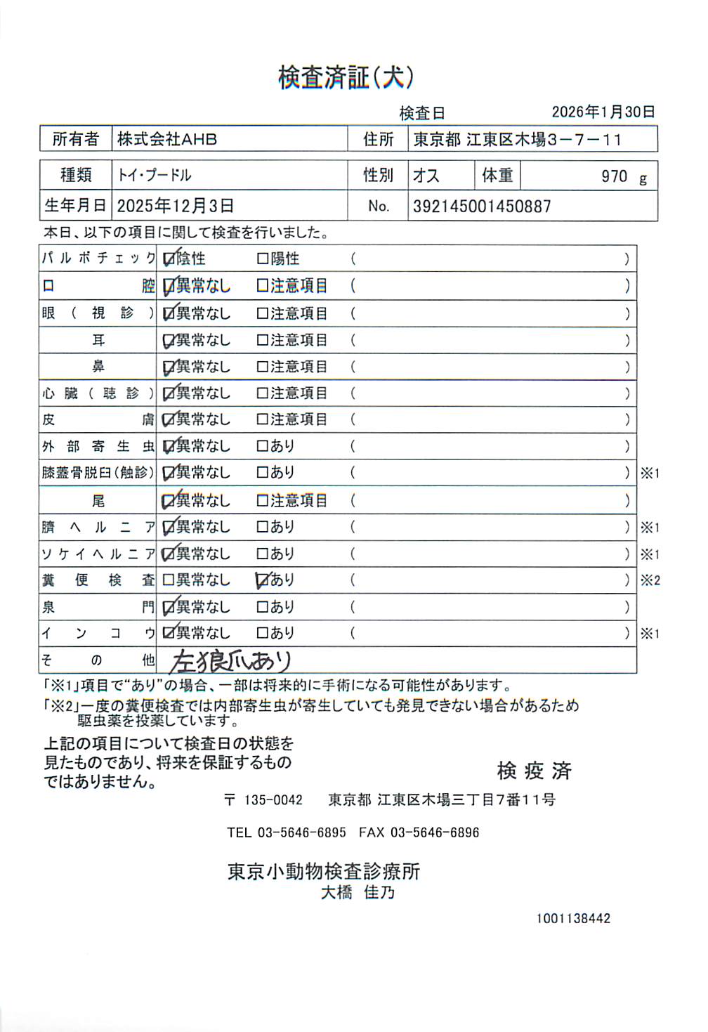 トイ・プードル