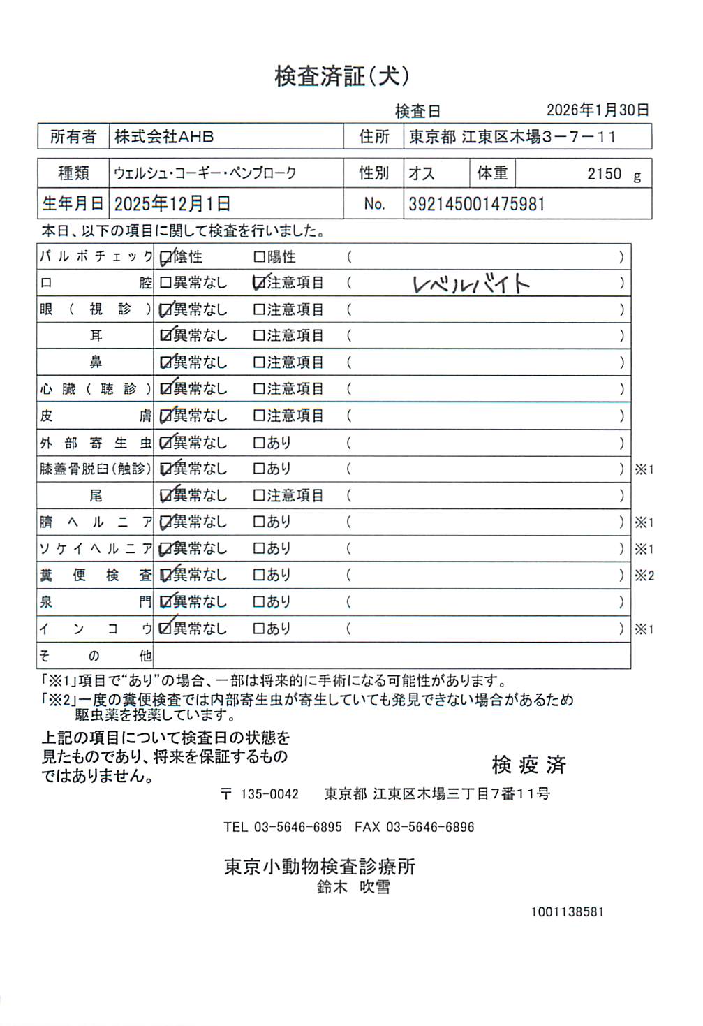 ウェルシュ・コーギー・ペンブローク