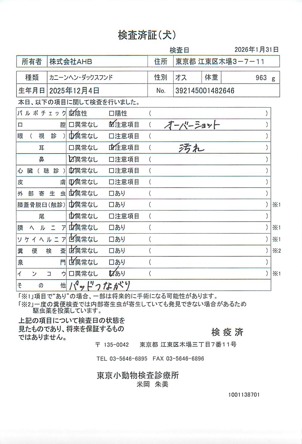 カニーンヘン・ダックスフンド