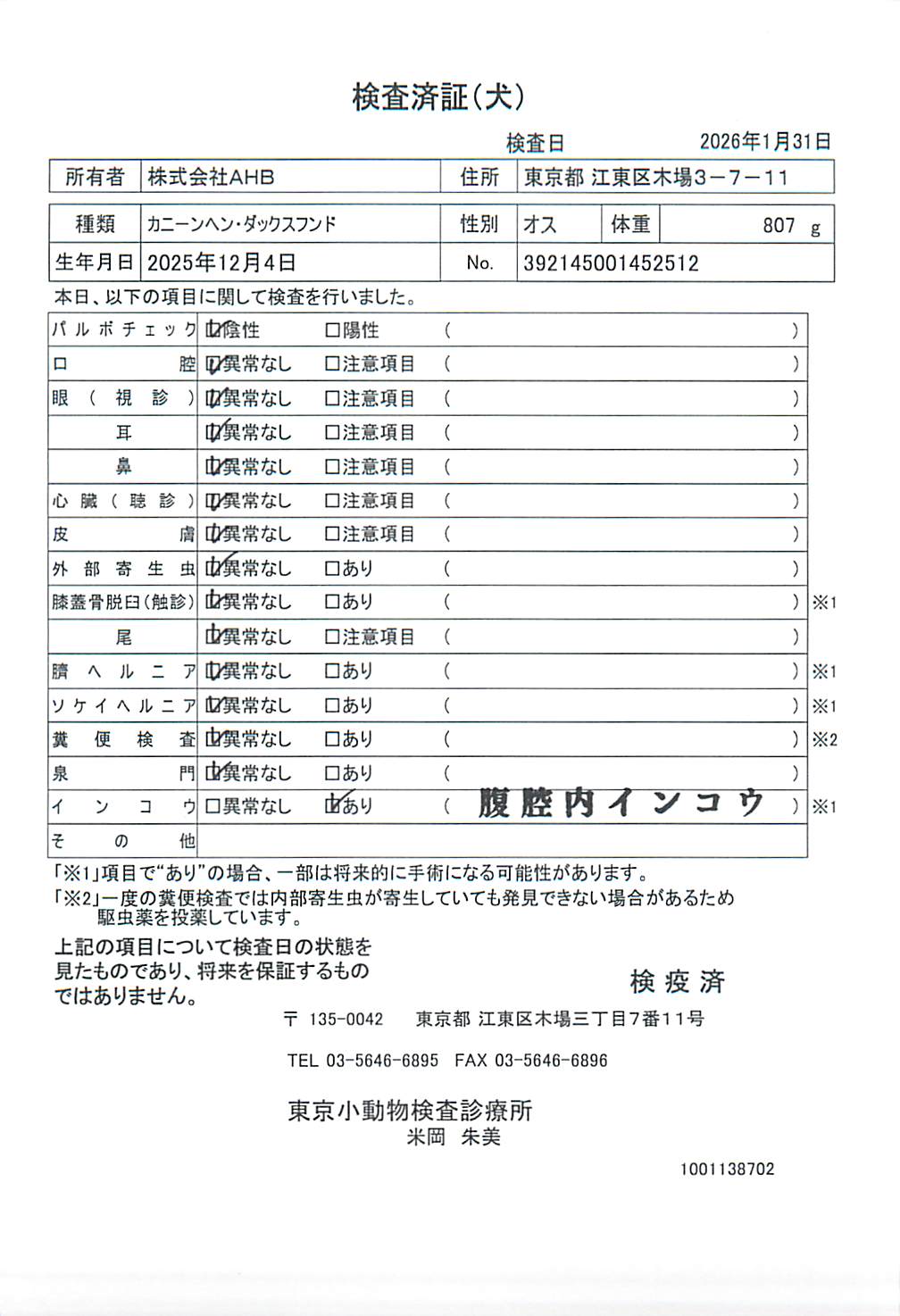 カニーンヘン・ダックスフンド