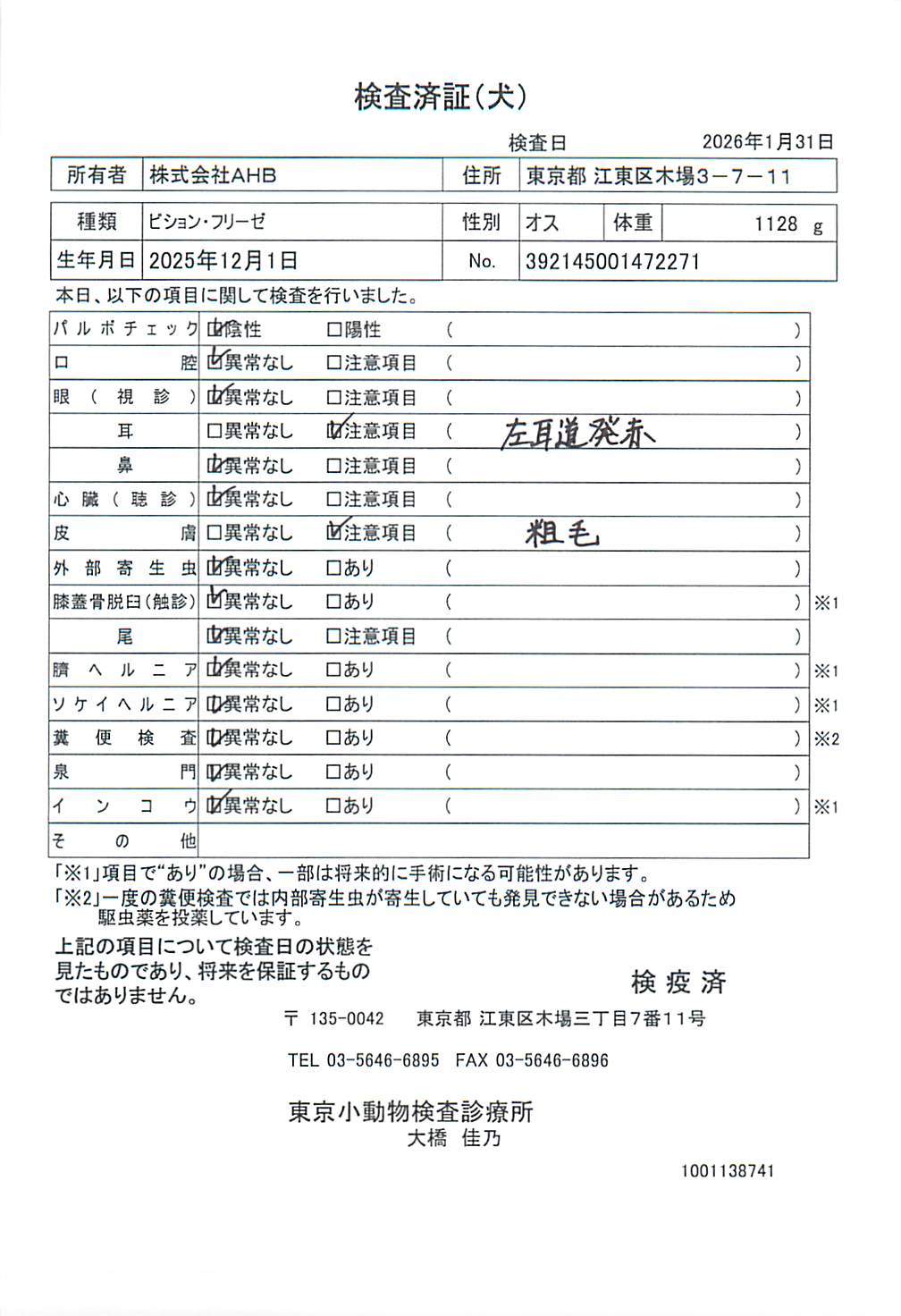 ビション・フリーゼ