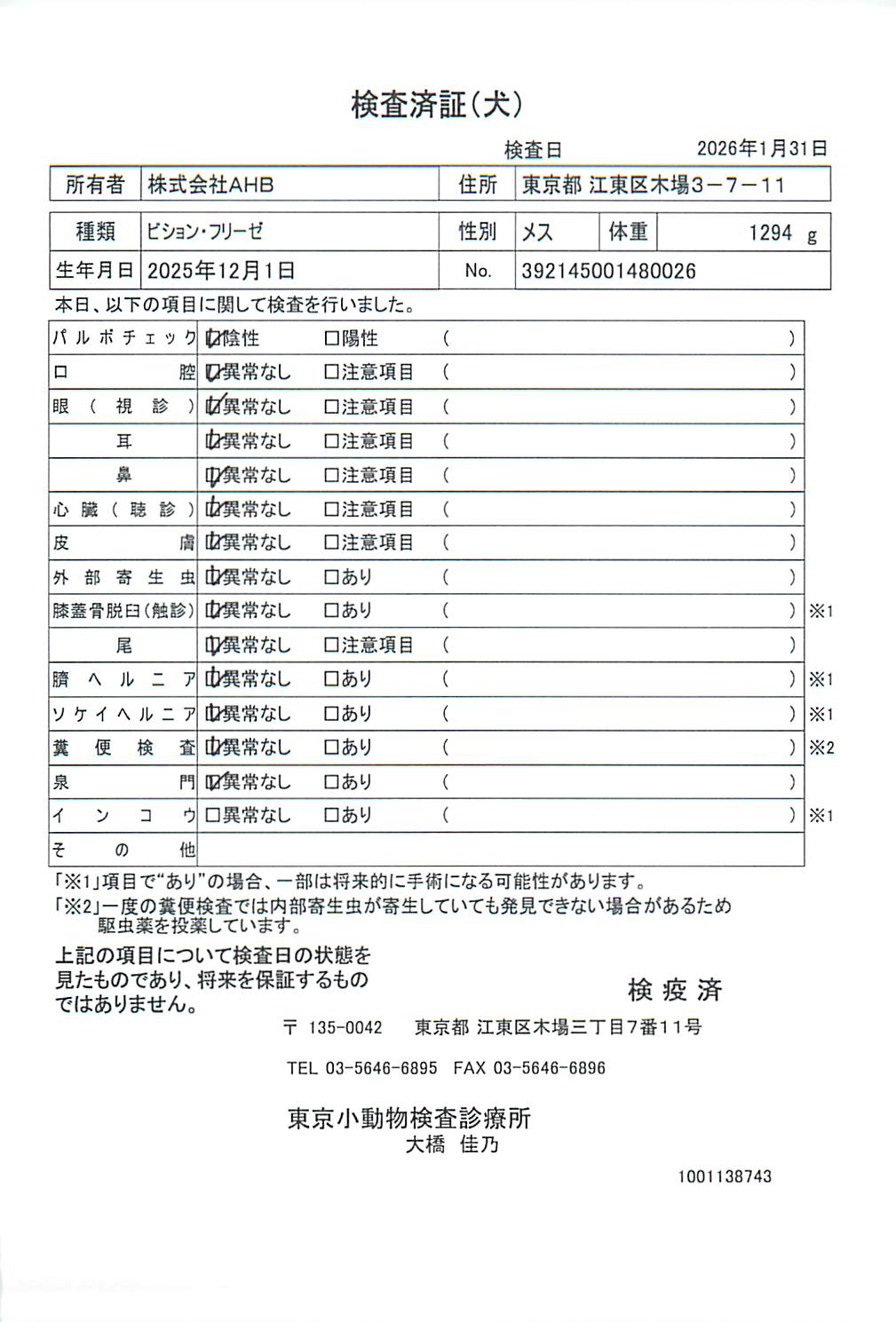 ビション・フリーゼ