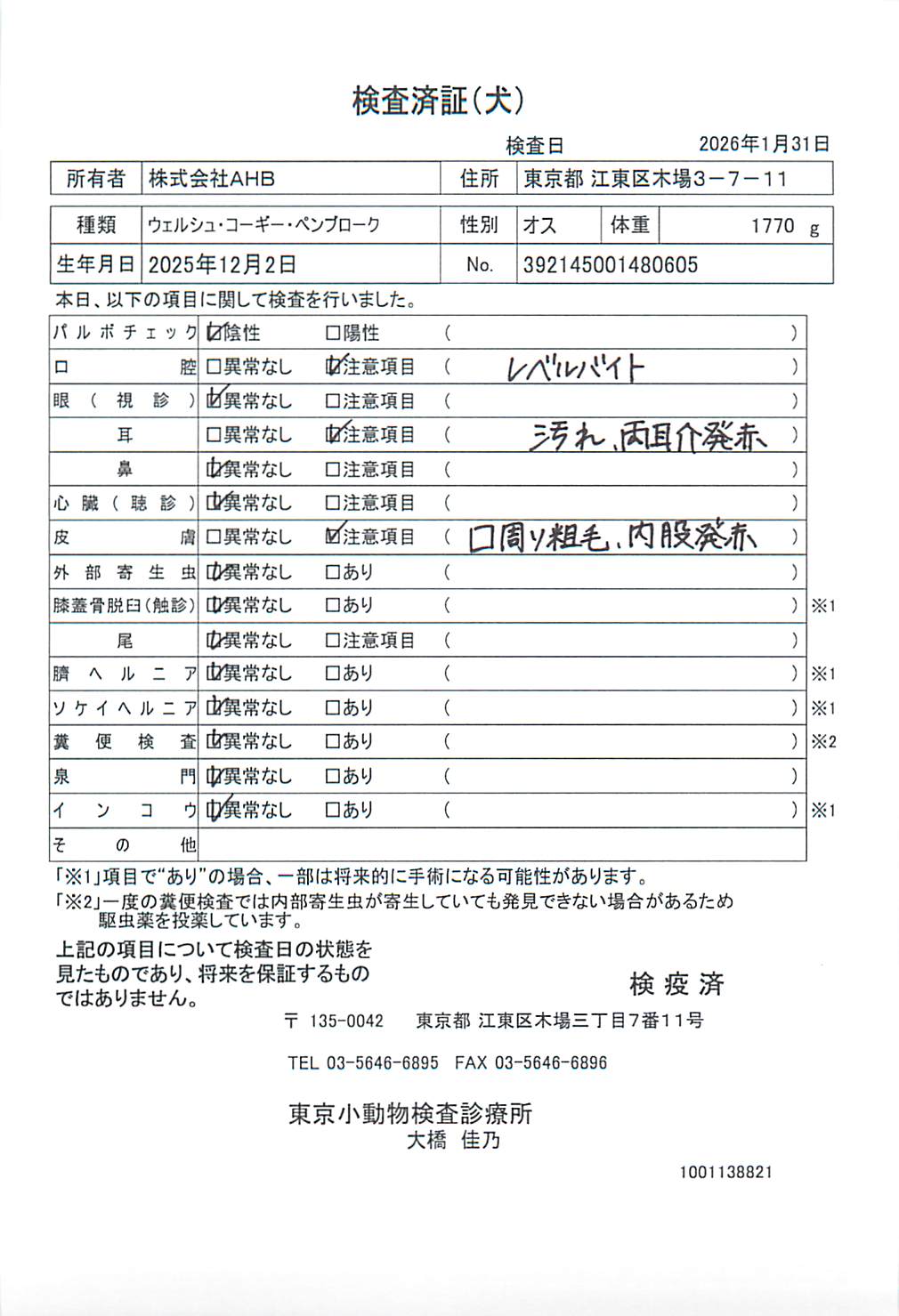 ウェルシュ・コーギー・ペンブローク