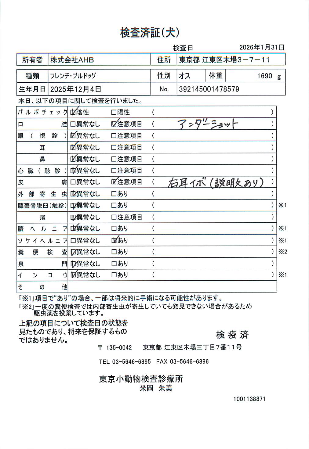 フレンチ・ブルドッグ