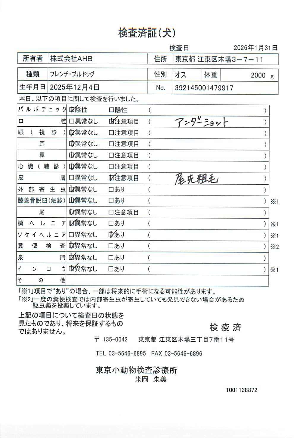 フレンチ・ブルドッグ