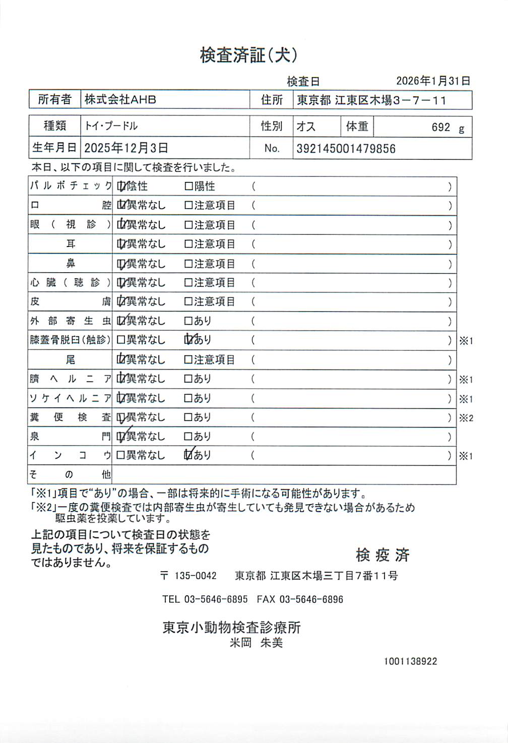 トイ・プードル