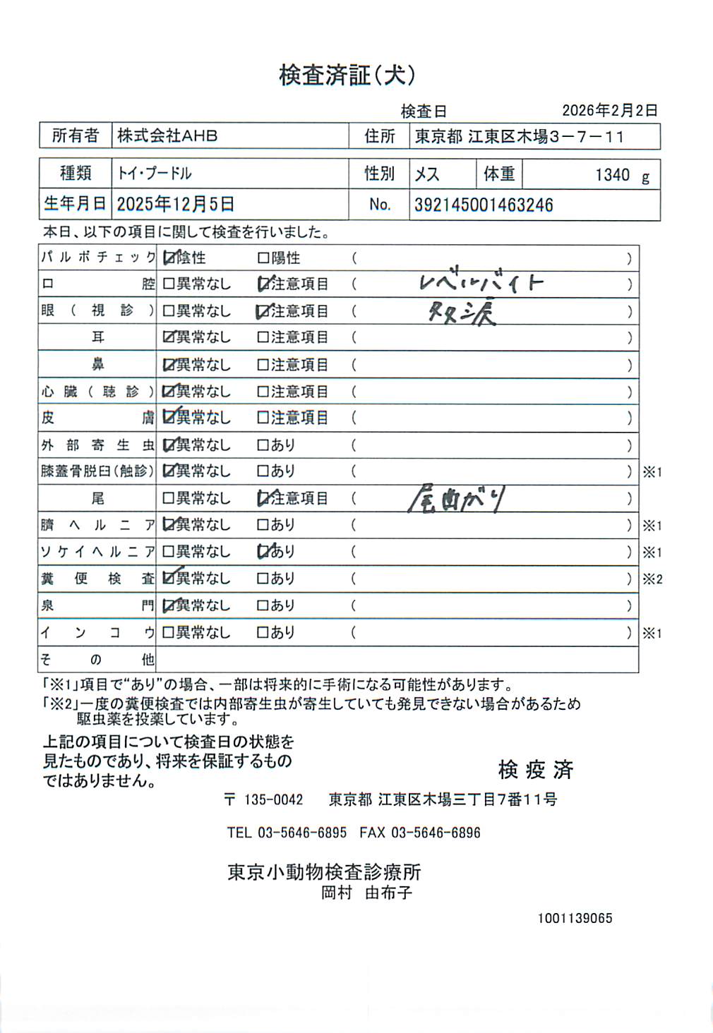 トイ・プードル