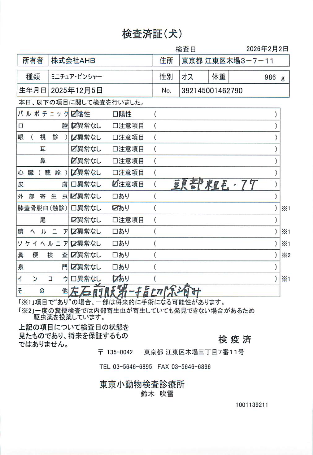 ミニチュア・ピンシャー