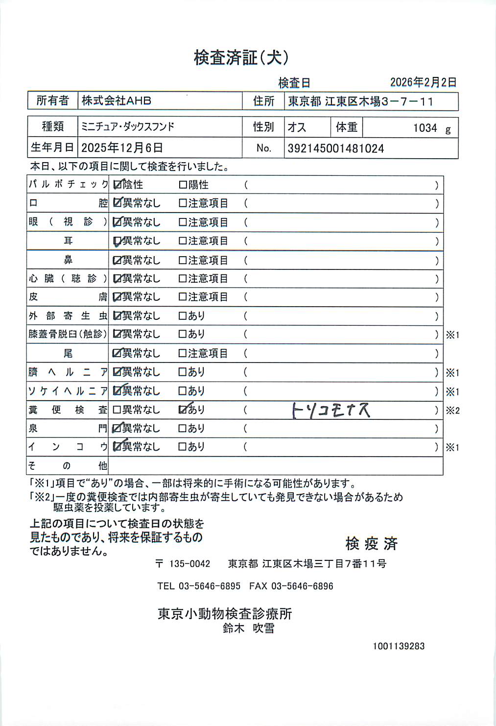 ミニチュア・ダックスフンド