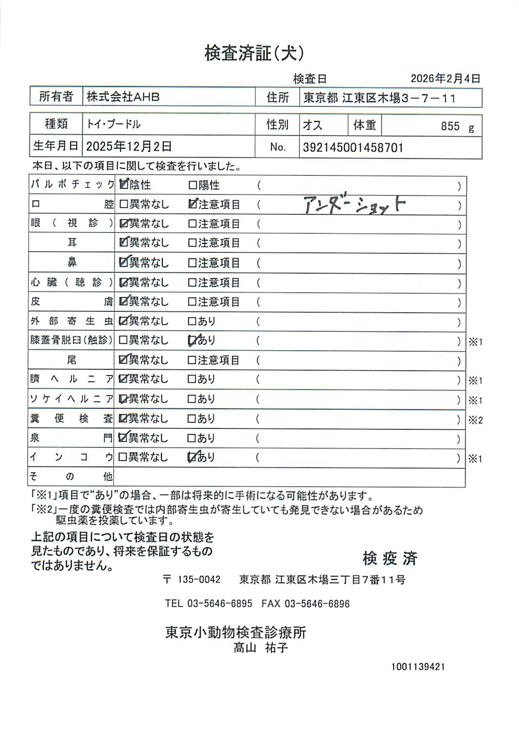 トイ・プードル