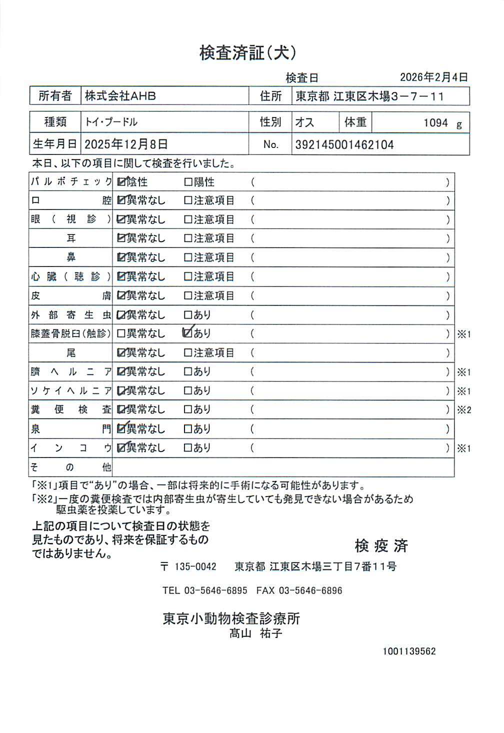 トイ・プードル