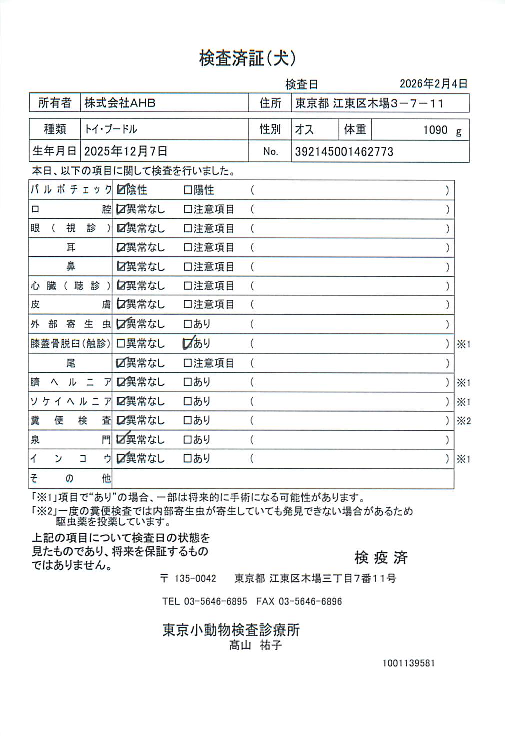 トイ・プードル