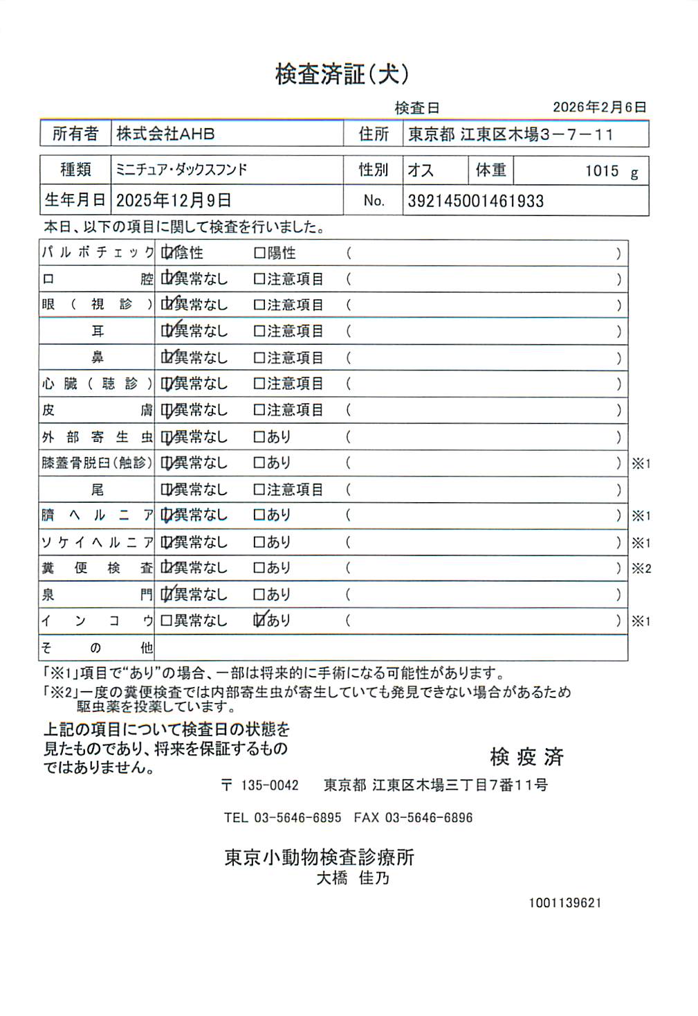 ミニチュア・ダックスフンド
