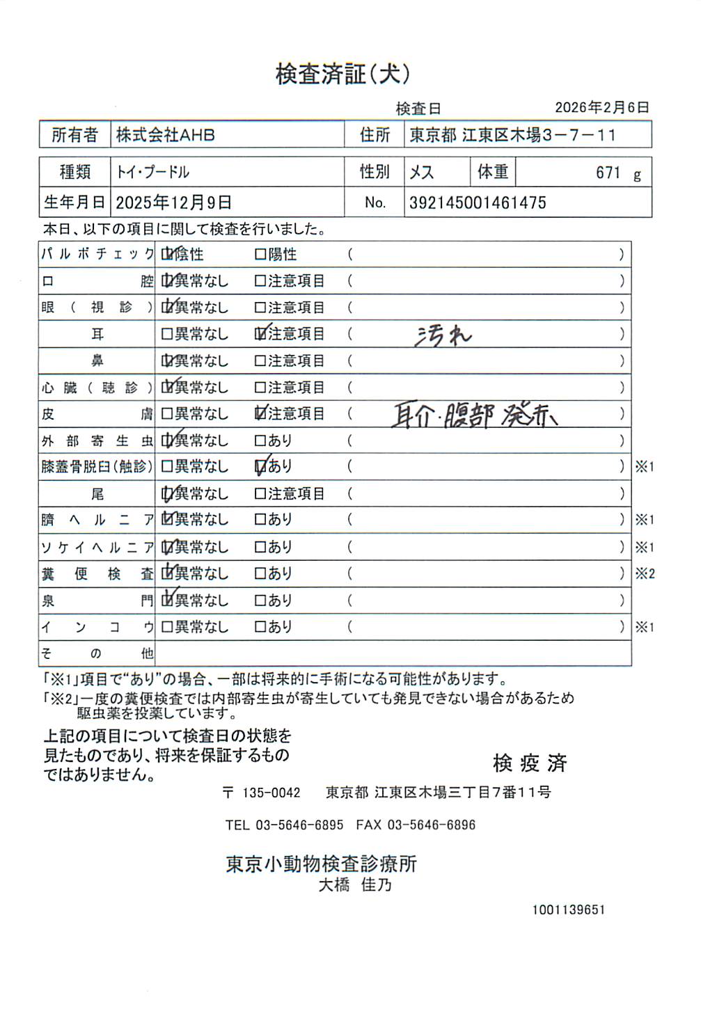 トイ・プードル