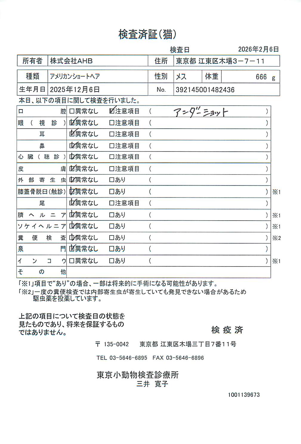 アメリカンショートヘア