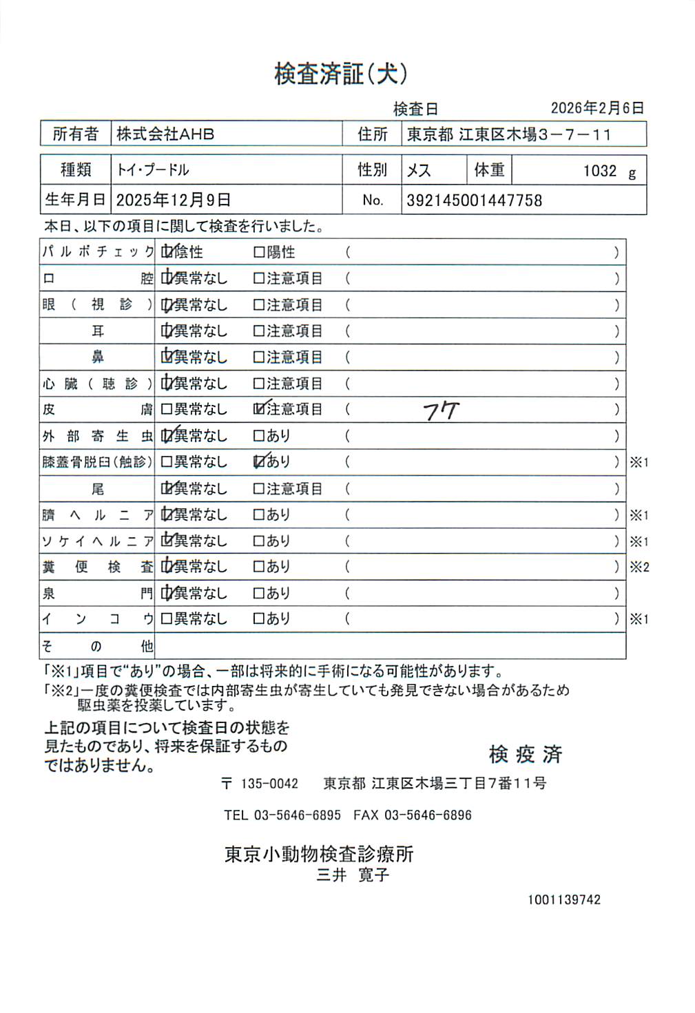 トイ・プードル