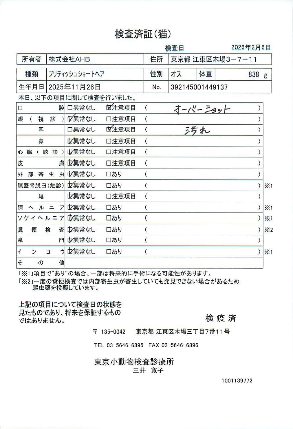 ブリティッシュショートヘア