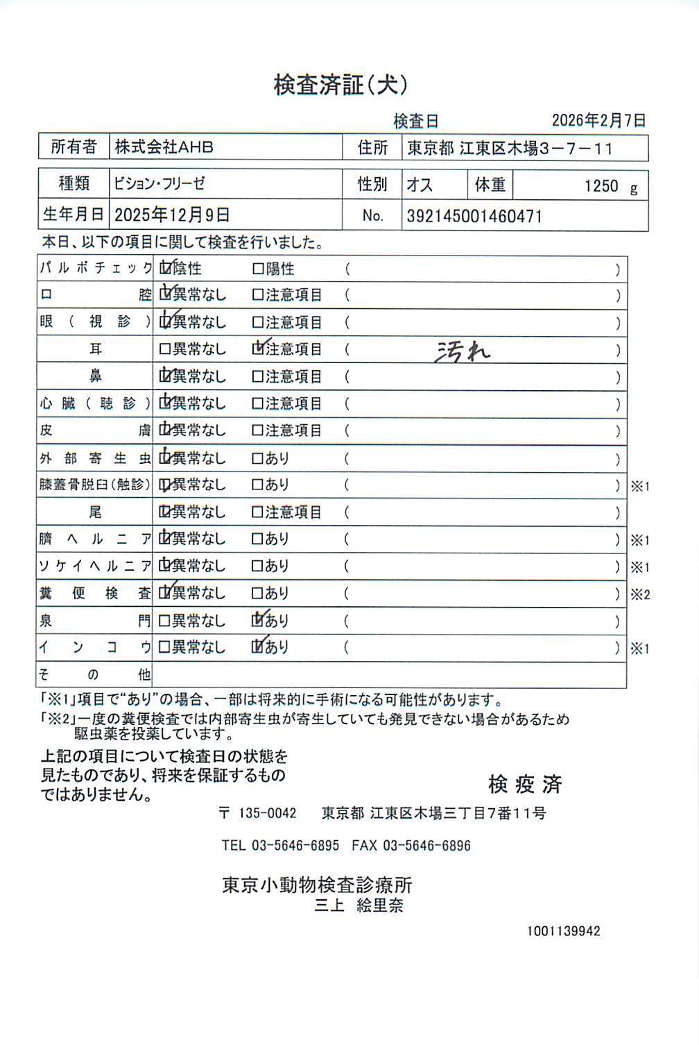 ビション・フリーゼ