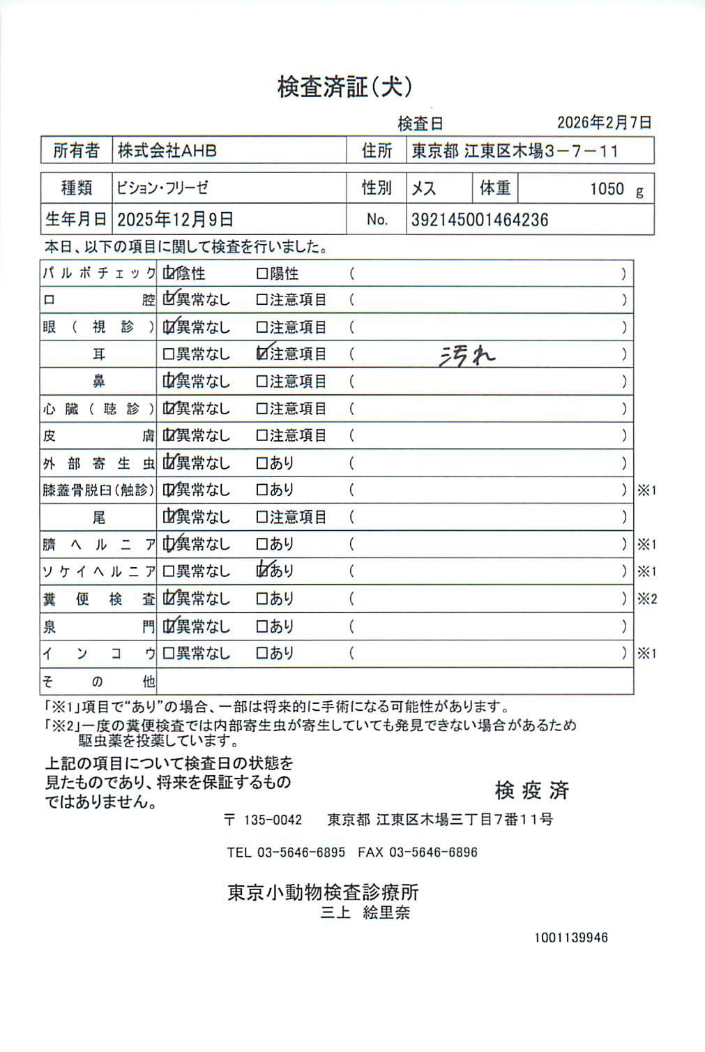 ビション・フリーゼ