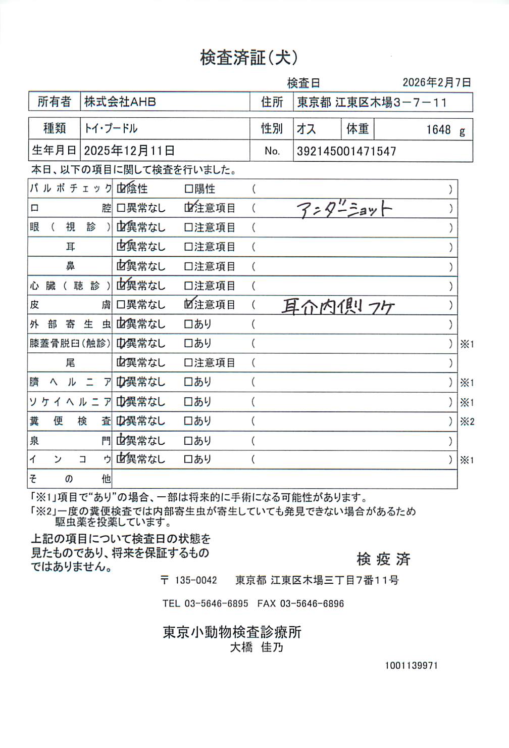トイ・プードル