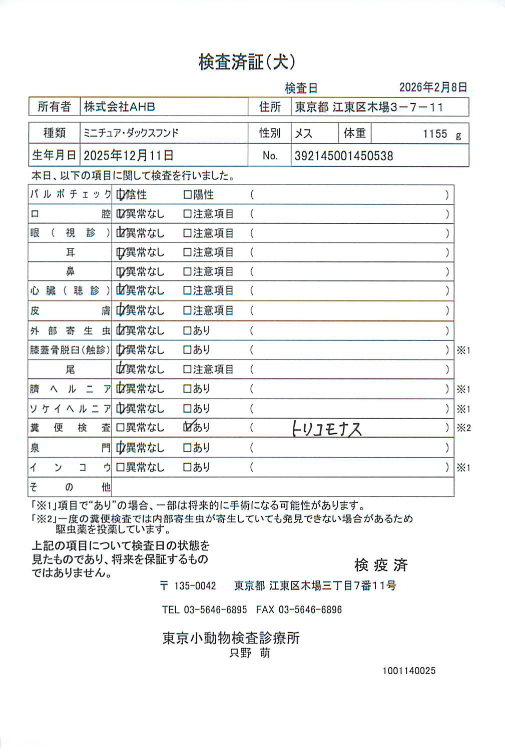 ミニチュア・ダックスフンド