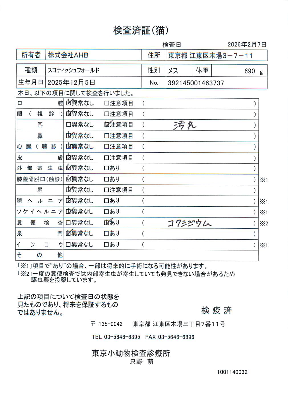 スコティッシュフォールド