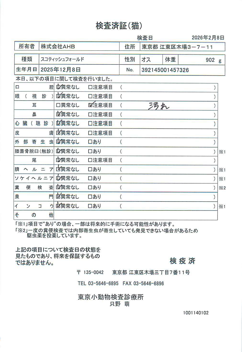 スコティッシュフォールド