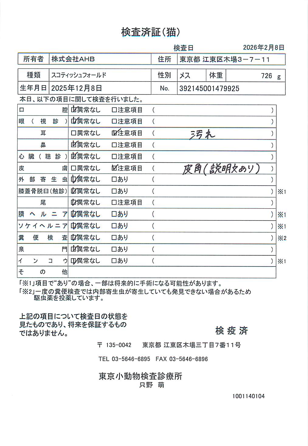 スコティッシュフォールド