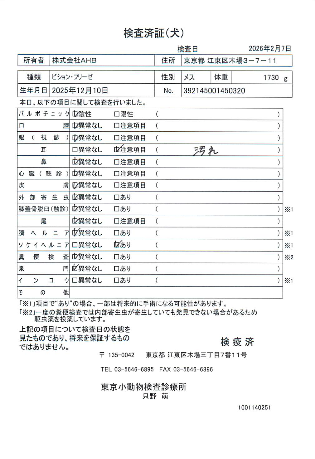 ビション・フリーゼ