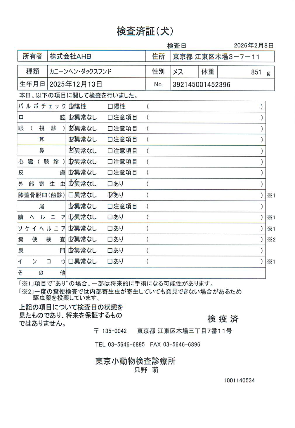 カニーンヘン・ダックスフンド