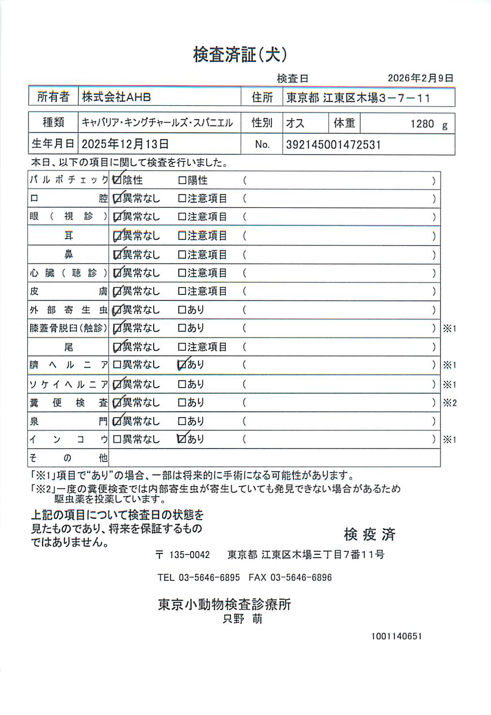 キャバリア・キングチャールズ・スパニエル