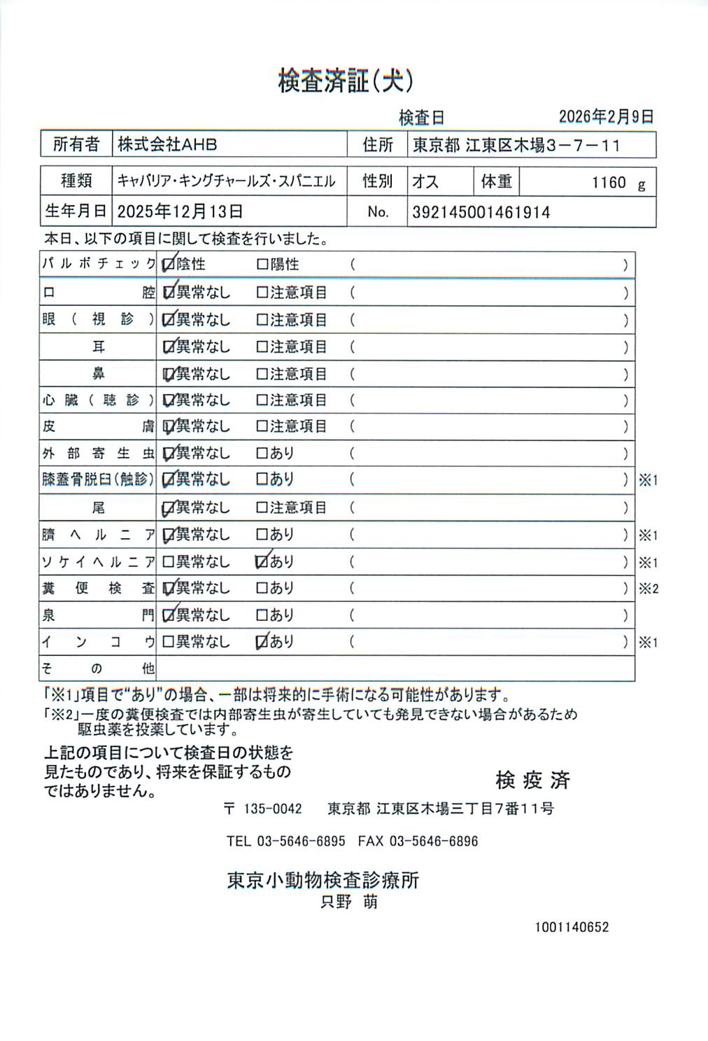 キャバリア・キングチャールズ・スパニエル