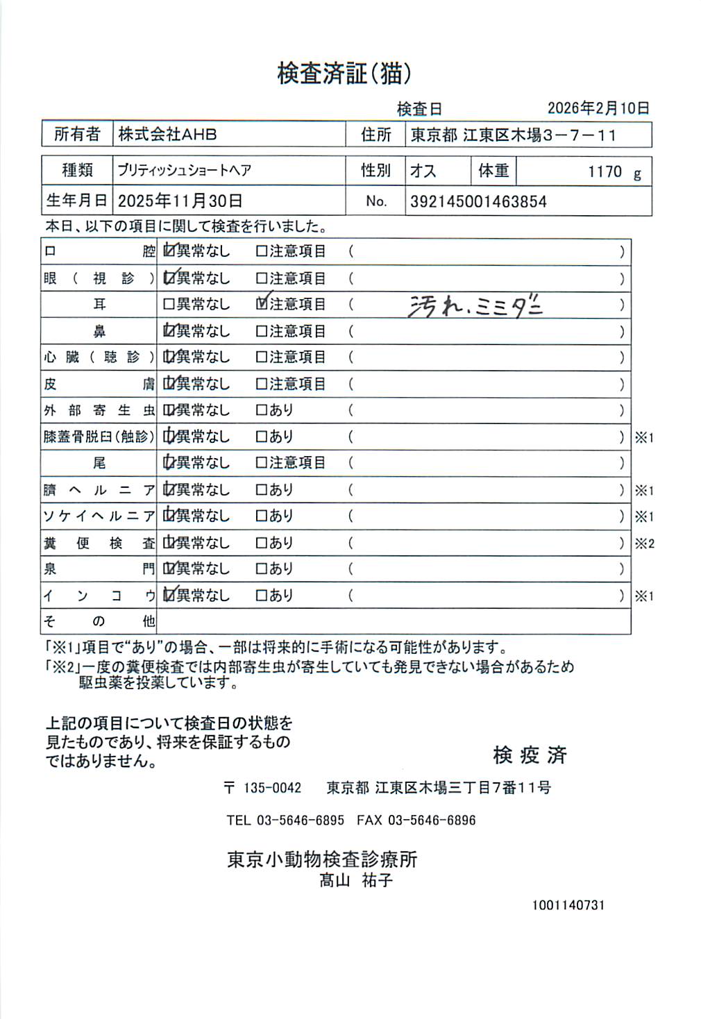 ブリティッシュショートヘア