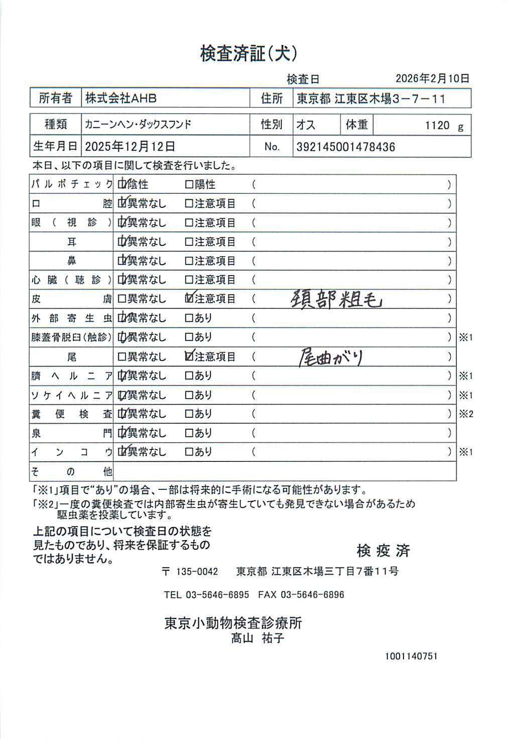 カニーンヘン・ダックスフンド