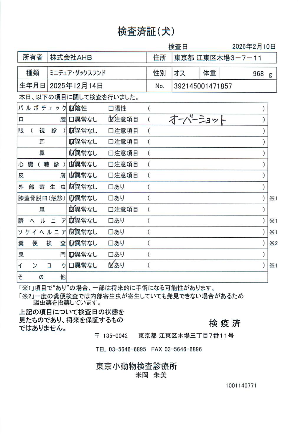 ミニチュア・ダックスフンド