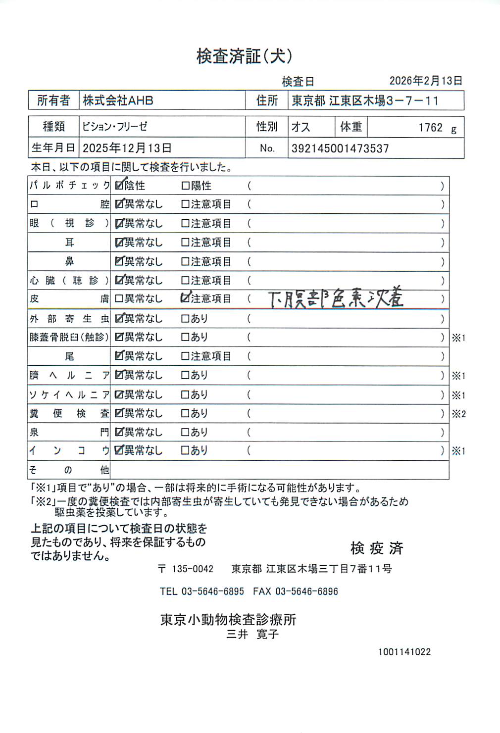 ビション・フリーゼ